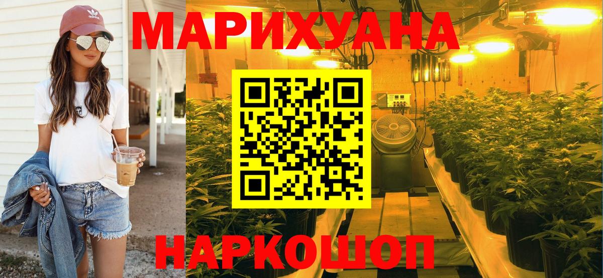 Шишки марихуана планчик  Конопля план  Бошки Шишки OG Kush  Вход с VPN  Шатура 